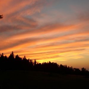 Meet your Posher, Lynn